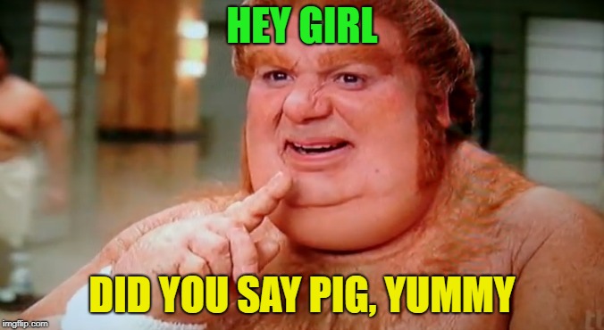 fat | HEY GIRL DID YOU SAY PIG, YUMMY | image tagged in fat | made w/ Imgflip meme maker