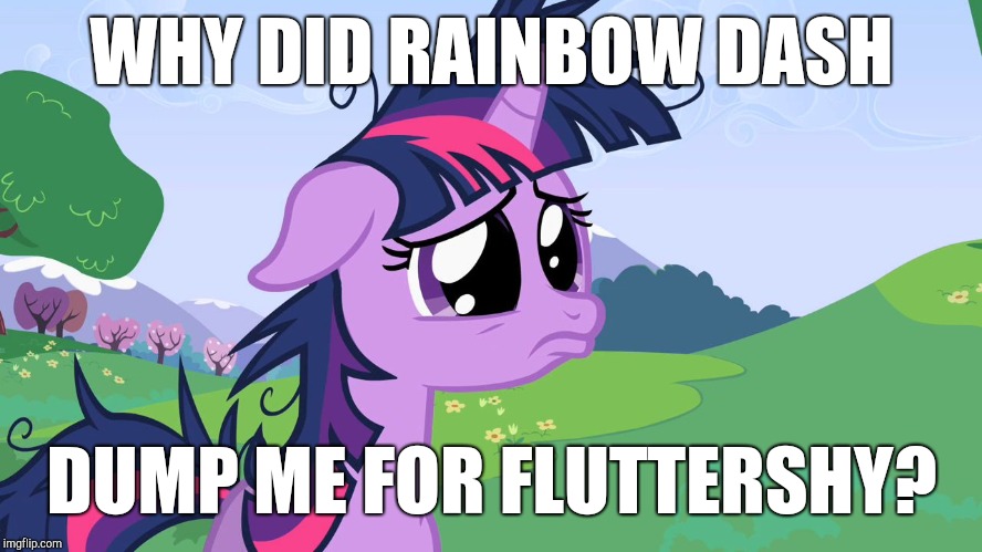 crying twilight | WHY DID RAINBOW DASH; DUMP ME FOR FLUTTERSHY? | image tagged in crying twilight | made w/ Imgflip meme maker