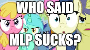 angry group of ponies | WHO SAID; MLP SUCKS? | image tagged in angry group of ponies | made w/ Imgflip meme maker