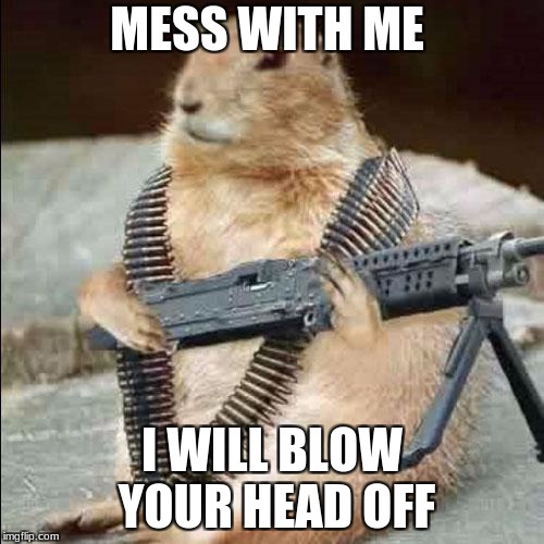 mean squirel | MESS WITH ME; I WILL BLOW YOUR HEAD OFF | image tagged in mean squirel | made w/ Imgflip meme maker