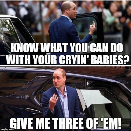 Perspective is everything | KNOW WHAT YOU CAN DO WITH YOUR CRYIN' BABIES? GIVE ME THREE OF 'EM! | image tagged in prince william,perspective,funny,meme | made w/ Imgflip meme maker