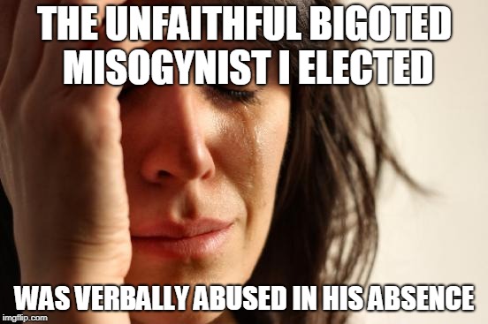 First World Problems Meme | THE UNFAITHFUL BIGOTED MISOGYNIST I ELECTED; WAS VERBALLY ABUSED IN HIS ABSENCE | image tagged in memes,first world problems,maga | made w/ Imgflip meme maker