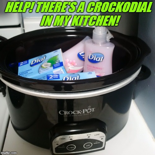Damsel in distress! How did this crockodial get in here?! Where's 
bad pun dog when you need him? | HELP! THERE'S A CROCKODIAL IN MY KITCHEN! | image tagged in crockodial,memes,nixieknox,bad puns | made w/ Imgflip meme maker