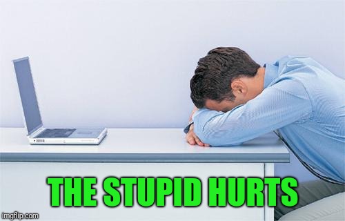 THE STUPID HURTS | made w/ Imgflip meme maker