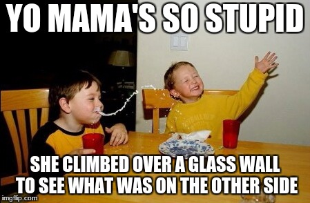 Yo Mamas So Fat Meme | YO MAMA'S SO STUPID; SHE CLIMBED OVER A GLASS WALL TO SEE WHAT WAS ON THE OTHER SIDE | image tagged in memes,yo mamas so fat | made w/ Imgflip meme maker