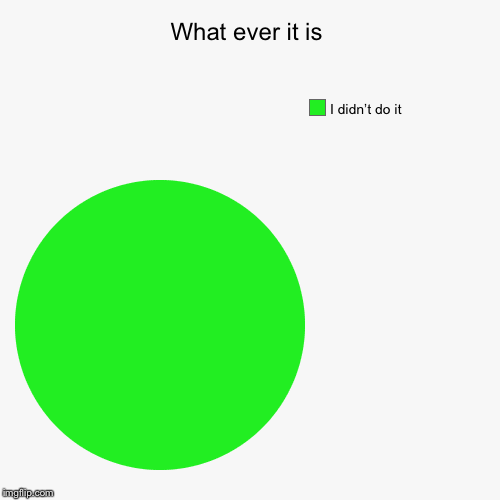 What ever it is | I didn’t do it | image tagged in funny,pie charts | made w/ Imgflip chart maker