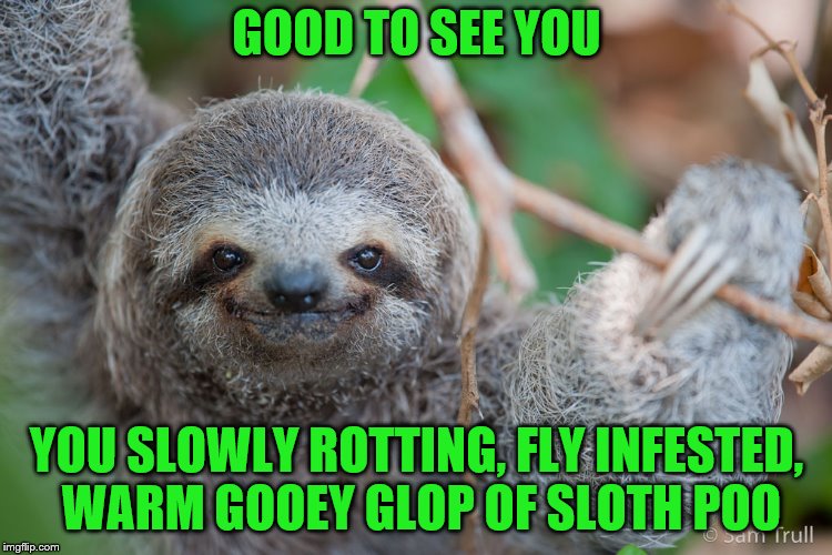 GOOD TO SEE YOU YOU SLOWLY ROTTING, FLY INFESTED, WARM GOOEY GLOP OF SLOTH POO | made w/ Imgflip meme maker