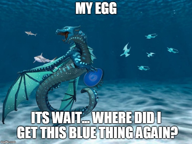 Tsunami | MY EGG; ITS WAIT... WHERE DID I GET THIS BLUE THING AGAIN? | image tagged in memes | made w/ Imgflip meme maker
