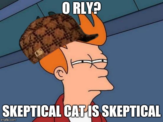 Futurama Fry Meme | O RLY? SKEPTICAL CAT IS SKEPTICAL | image tagged in memes,futurama fry,scumbag | made w/ Imgflip meme maker