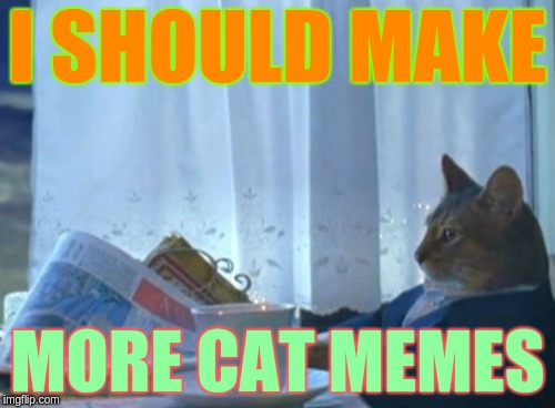 Aaand thats one more thing off my kick-the-bucket list | I SHOULD MAKE; MORE CAT MEMES | image tagged in memes,i should buy a boat cat,cat | made w/ Imgflip meme maker