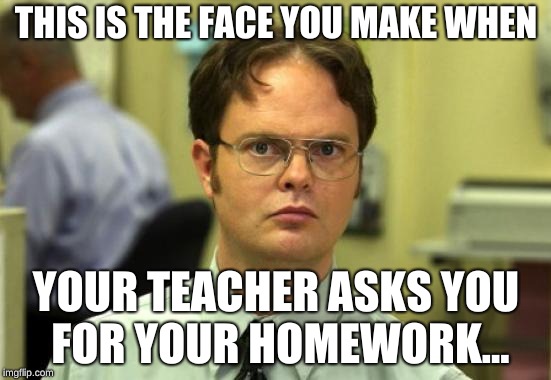 Dwight Schrute Meme | THIS IS THE FACE YOU MAKE WHEN; YOUR TEACHER ASKS YOU FOR YOUR HOMEWORK... | image tagged in memes,dwight schrute | made w/ Imgflip meme maker