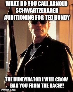 Terminator | WHAT DO YOU CALL ARNOLD SCHWARTZENAGER AUDITIONING FOR TED BUNDY; THE BUNDYNATOR I WILL CROW BAR YOU FROM THE BACH!! | image tagged in terminator | made w/ Imgflip meme maker