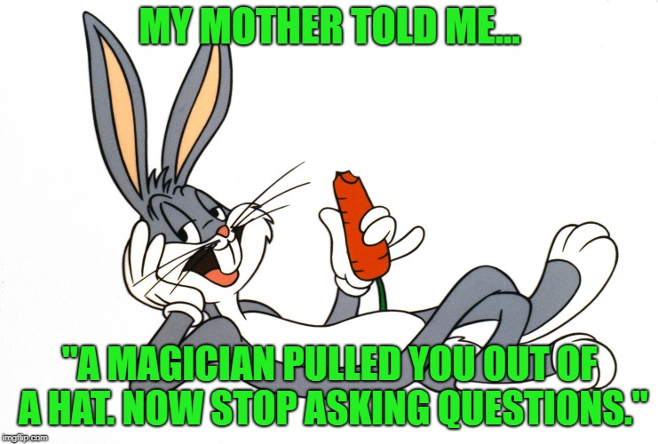 Ta-Da: inspired by giveuahint | MY MOTHER TOLD ME... "A MAGICIAN PULLED YOU OUT OF A HAT. NOW STOP ASKING QUESTIONS." | image tagged in memes,funny,bugs bunny | made w/ Imgflip meme maker