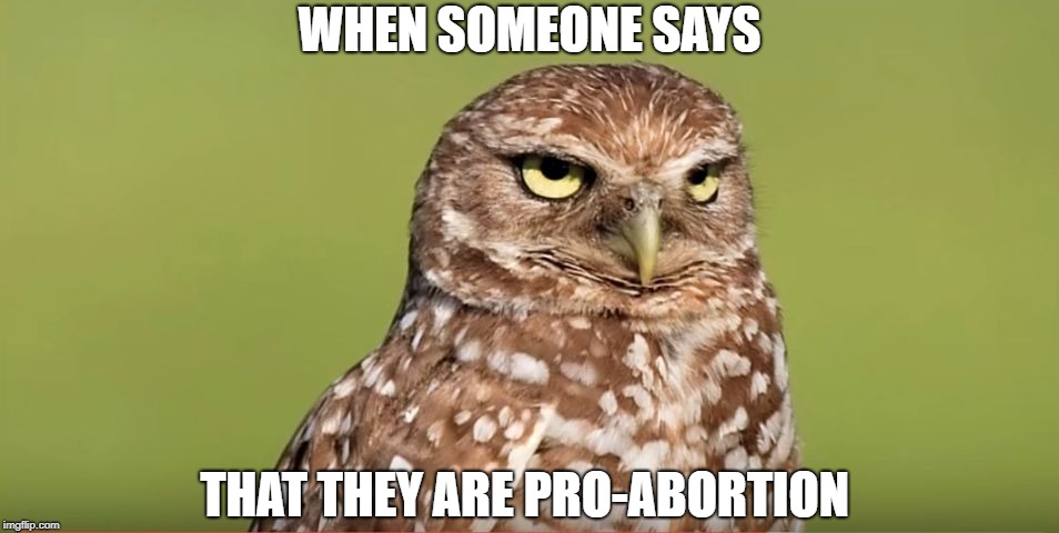 Death Stare Owl | WHEN SOMEONE SAYS; THAT THEY ARE PRO-ABORTION | image tagged in death stare owl,memes,abortion,abortion is murder,meme,owl | made w/ Imgflip meme maker