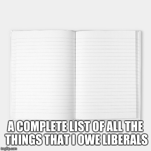 A COMPLETE LIST OF ALL THE THINGS THAT I OWE LIBERALS | image tagged in liberals,notebook | made w/ Imgflip meme maker