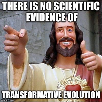 Jesus | THERE IS NO SCIENTIFIC EVIDENCE OF TRANSFORMATIVE EVOLUTION | image tagged in jesus | made w/ Imgflip meme maker