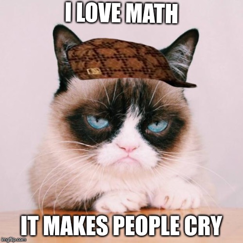 grumpy cat again | I LOVE MATH; IT MAKES PEOPLE CRY | image tagged in grumpy cat again,scumbag | made w/ Imgflip meme maker