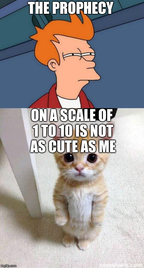 Im way more cute than you | THE PROPHECY; ON A SCALE OF 1 TO 10 IS NOT AS CUTE AS ME | image tagged in cute cat,futurama | made w/ Imgflip meme maker