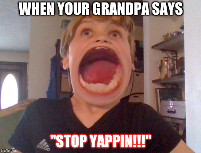 WHEN YOUR GRANDPA SAYS; "STOP YAPPIN!!!" | image tagged in oldness | made w/ Imgflip meme maker