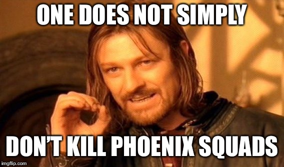 One Does Not Simply | ONE DOES NOT SIMPLY; DON’T KILL PHOENIX SQUADS | image tagged in memes,one does not simply | made w/ Imgflip meme maker