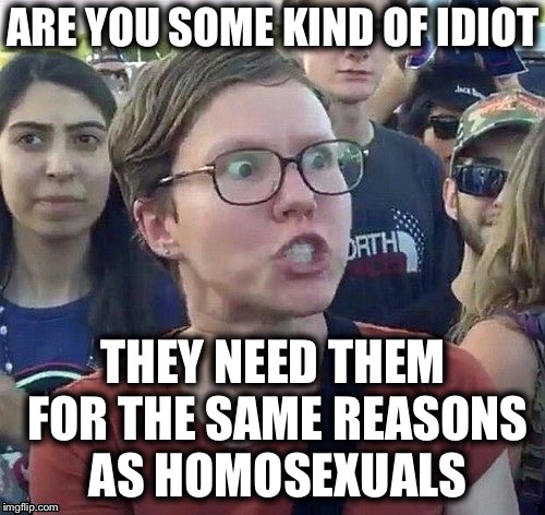 ARE YOU SOME KIND OF IDIOT THEY NEED THEM FOR THE SAME REASONS AS HOMOSEXUALS | made w/ Imgflip meme maker
