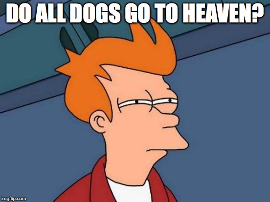 Futurama Fry Meme | DO ALL DOGS GO TO HEAVEN? | image tagged in memes,futurama fry | made w/ Imgflip meme maker
