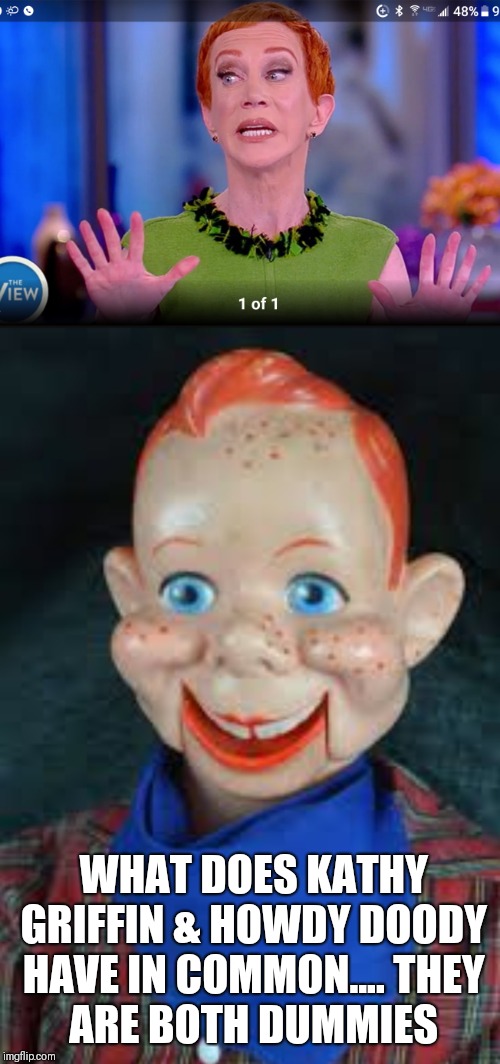 WHAT DOES KATHY GRIFFIN & HOWDY DOODY HAVE IN COMMON....
THEY ARE BOTH DUMMIES | image tagged in kathy griffin,stupid liberals,president trump | made w/ Imgflip meme maker