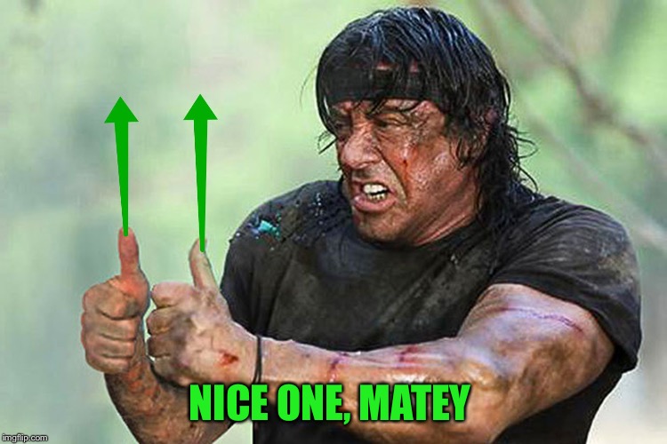 Two Thumbs Up Vote | NICE ONE, MATEY | image tagged in two thumbs up vote | made w/ Imgflip meme maker