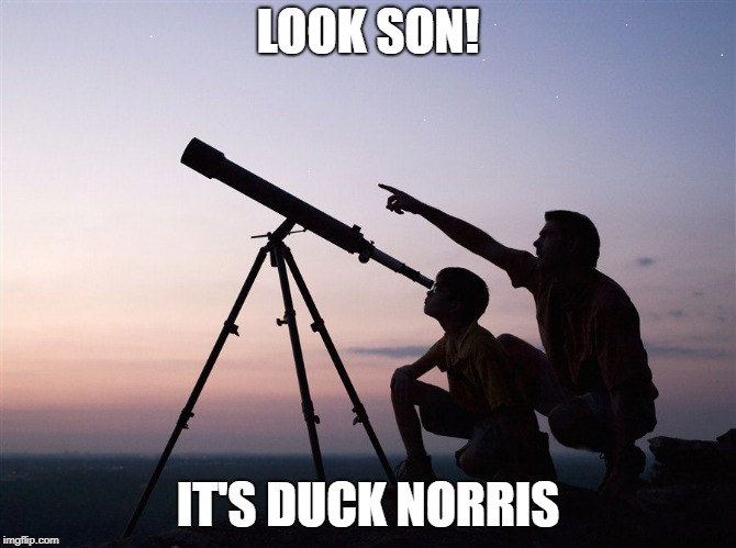 look son | LOOK SON! IT'S DUCK NORRIS | image tagged in look son | made w/ Imgflip meme maker
