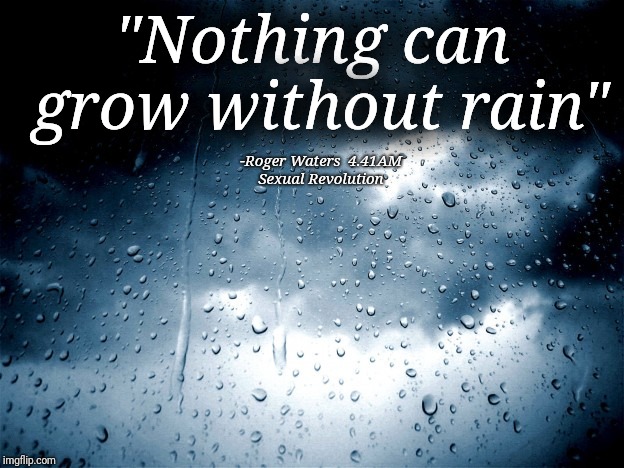 Roger Waters 4.41AM Sexual Revolution Pros and cons of hitchhiking  | "Nothing can grow without rain"; -Roger Waters 
4.41AM Sexual Revolution | image tagged in rain on wimdow,roger waters,sexual,revolution,music,lyrics | made w/ Imgflip meme maker