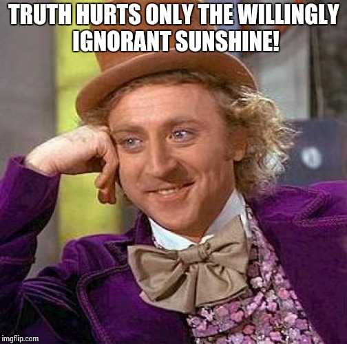 Creepy Condescending Wonka | TRUTH HURTS ONLY THE WILLINGLY IGNORANT SUNSHINE! | image tagged in memes,creepy condescending wonka | made w/ Imgflip meme maker