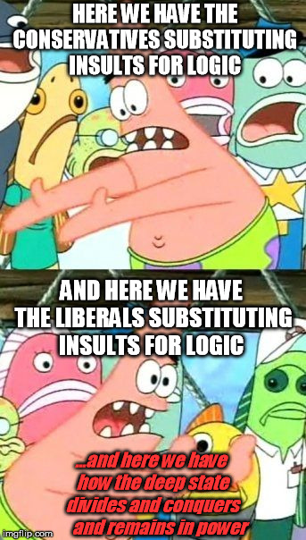 Put It Somewhere Else Patrick Meme | HERE WE HAVE THE CONSERVATIVES SUBSTITUTING INSULTS FOR LOGIC; AND HERE WE HAVE THE LIBERALS SUBSTITUTING INSULTS FOR LOGIC; ...and here we have how the deep state divides and conquers     and remains in power | image tagged in memes,put it somewhere else patrick,republican,democrat,party | made w/ Imgflip meme maker