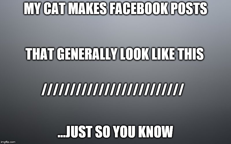 cats posts to facebook | MY CAT MAKES FACEBOOK POSTS; THAT GENERALLY LOOK LIKE THIS; /////////////////////////; ...JUST SO YOU KNOW | image tagged in cats,facebook,keyboard | made w/ Imgflip meme maker