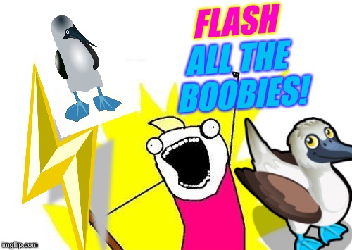 X All The Y Meme | FLASH ALL THE BOOBIES! | image tagged in memes,x all the y | made w/ Imgflip meme maker