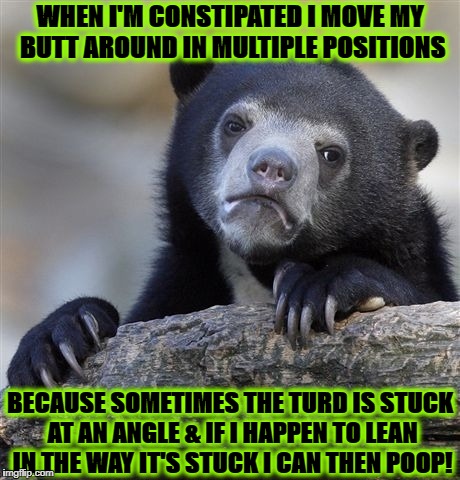 Confession Bear Meme | WHEN I'M CONSTIPATED I MOVE MY BUTT AROUND IN MULTIPLE POSITIONS; BECAUSE SOMETIMES THE TURD IS STUCK AT AN ANGLE & IF I HAPPEN TO LEAN IN THE WAY IT'S STUCK I CAN THEN POOP! | image tagged in memes,confession bear | made w/ Imgflip meme maker
