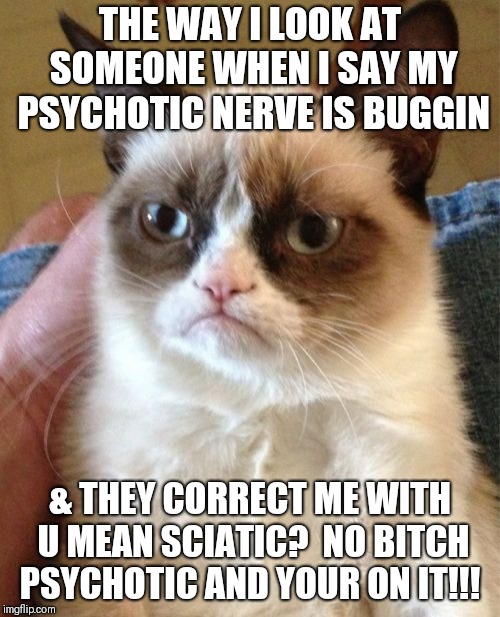 Grumpy Cat Meme | THE WAY I LOOK AT SOMEONE WHEN I SAY MY PSYCHOTIC NERVE IS BUGGIN; & THEY CORRECT ME WITH U MEAN SCIATIC?  NO BITCH PSYCHOTIC AND YOUR ON IT!!! | image tagged in memes,grumpy cat | made w/ Imgflip meme maker