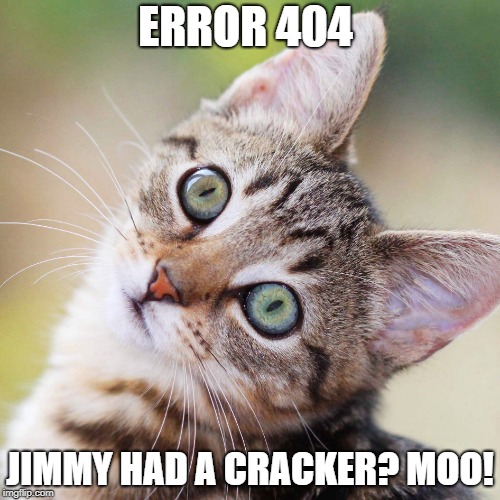Random Cat | ERROR 404; JIMMY HAD A CRACKER? MOO! | image tagged in random cat | made w/ Imgflip meme maker