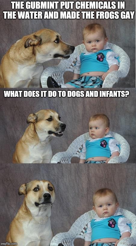 Bad joke dog | THE GUBMINT PUT CHEMICALS IN THE WATER AND MADE THE FROGS GAY; WHAT DOES IT DO TO DOGS AND INFANTS? | image tagged in bad joke dog | made w/ Imgflip meme maker