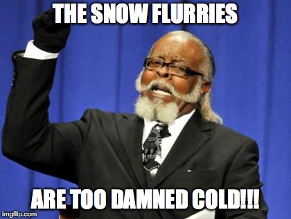 Too Damn High Meme | THE SNOW FLURRIES ARE TOO DAMNED COLD!!! | image tagged in memes,too damn high | made w/ Imgflip meme maker