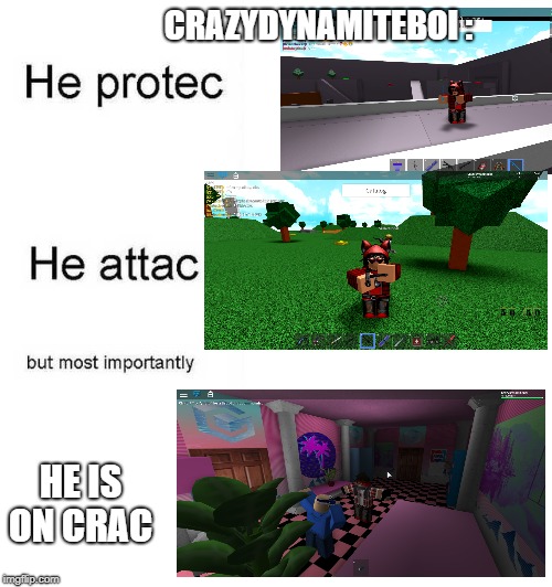 How can I describe this user.. | CRAZYDYNAMITEBOI :; HE IS ON CRAC | image tagged in he protec he attac but most importantly,roblox meme | made w/ Imgflip meme maker
