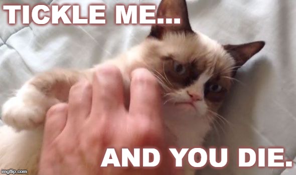 Grumpy Cat Tickle | TICKLE ME... AND YOU DIE. | image tagged in grumpy cat,tickle,die | made w/ Imgflip meme maker