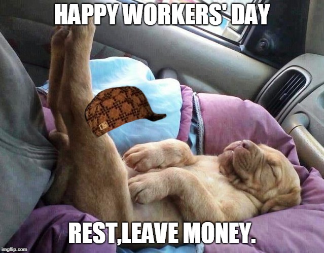 tired dog | HAPPY WORKERS' DAY; REST,LEAVE MONEY. | image tagged in worker | made w/ Imgflip meme maker