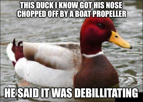 Malicious Advice Mallard Meme | THIS DUCK I KNOW GOT HIS NOSE CHOPPED OFF BY A BOAT PROPELLER; HE SAID IT WAS DEBILLITATING | image tagged in memes,malicious advice mallard | made w/ Imgflip meme maker