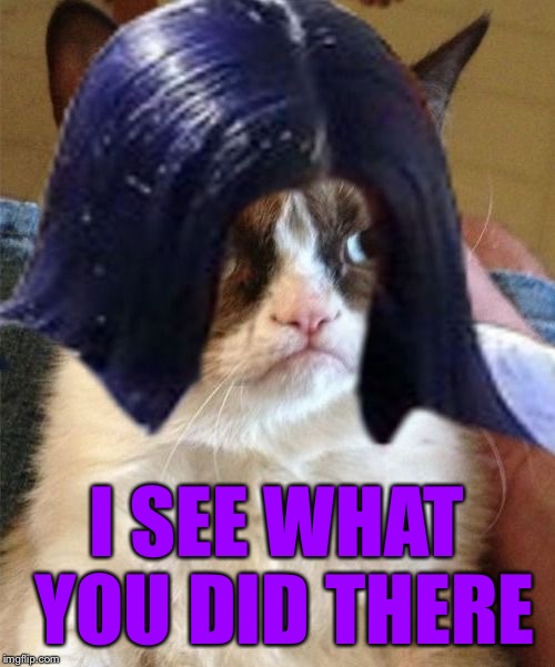 Grumpy doMima (flipped) | I SEE WHAT YOU DID THERE | image tagged in grumpy domima flipped | made w/ Imgflip meme maker