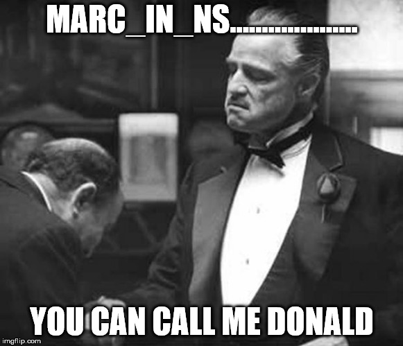 Godfather Respect | MARC_IN_NS.................... YOU CAN CALL ME DONALD | image tagged in godfather respect | made w/ Imgflip meme maker