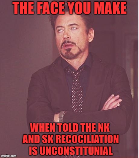 Face You Make Robert Downey Jr | THE FACE YOU MAKE; WHEN TOLD THE NK AND SK RECOCILIATION IS UNCONSTITUNIAL | image tagged in memes,face you make robert downey jr | made w/ Imgflip meme maker