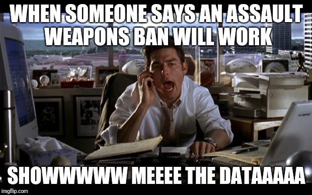 gun maguire |  WHEN SOMEONE SAYS AN ASSAULT WEAPONS BAN WILL WORK; SHOWWWWW MEEEE THE DATAAAAA | image tagged in jerry maguire | made w/ Imgflip meme maker