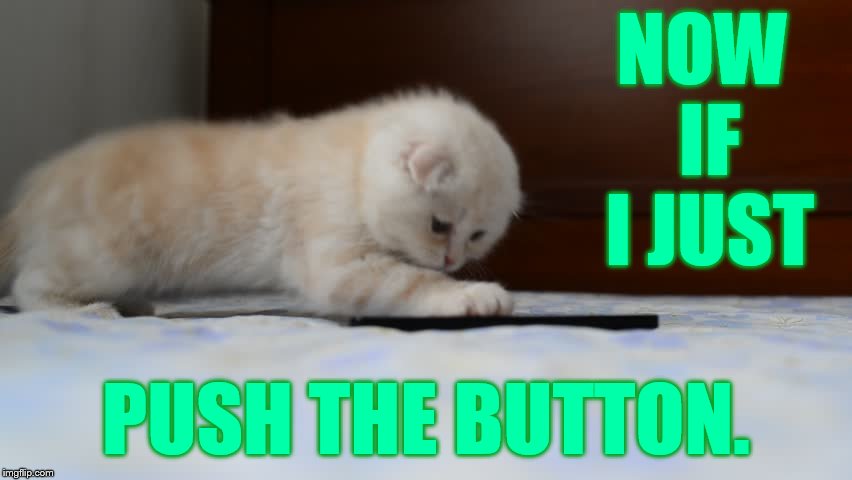 NOW IF I JUST PUSH THE BUTTON. | made w/ Imgflip meme maker