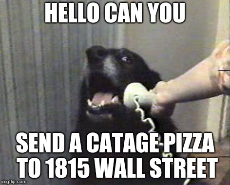hello this is dog | HELLO CAN YOU; SEND A CATAGE PIZZA TO 1815 WALL STREET | image tagged in hello this is dog | made w/ Imgflip meme maker