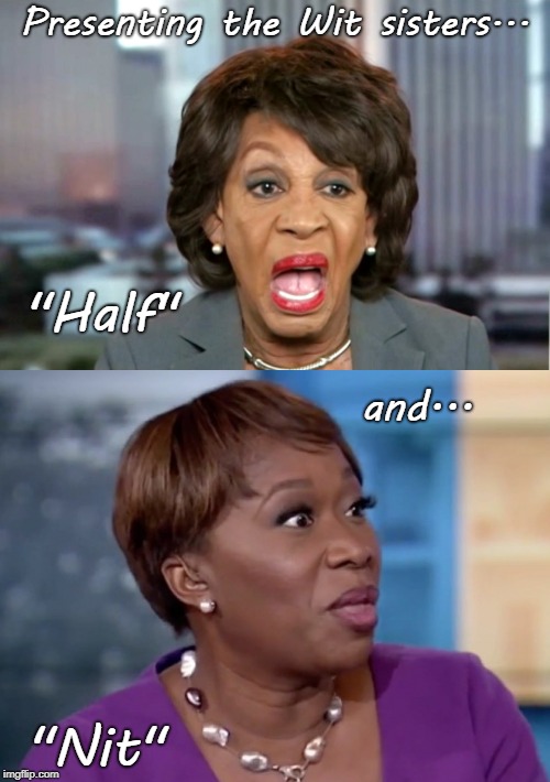 Now presenting... | Presenting the Wit sisters... "Half"; and... "Nit" | image tagged in nitwit,halfwit,sisters | made w/ Imgflip meme maker